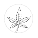 Legalize Albania Kanabis Shqiperi